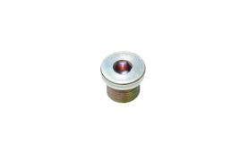 Threaded plug M18x1.5 IVECO EuroCargo TECTOR 4895392 (2)