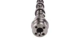 Camshaft 504241901 (1)
