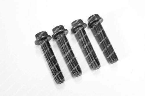 Connection rod bolt 504015229