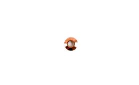 Seal Ring, nozzle holder 504262598 5802246378 (2)