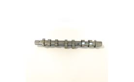 Camshaft 130200782R (3)