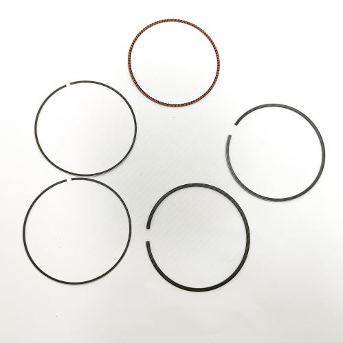 Piston Ring Kit 800109910000