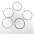 Piston Ring Kit 800109910000