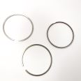 Piston Ring Kit 2991564