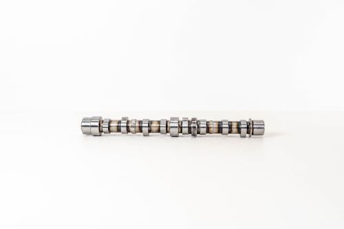 Camshaft 55206897