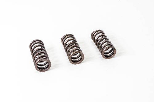 Valve spring 504099999