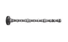 Camshaft 4824221