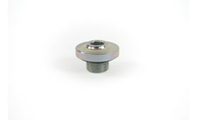 Screw cap IVECO CURSOR 11 5801949477 (1)