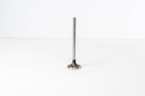 Valve exhaust 504078483