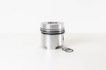 Piston 1900691