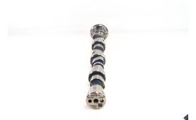 Camshaft 504229312 (2)