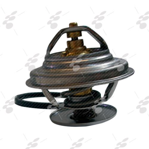 Thermostat, Kühlmittel 503474271