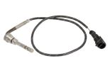 Sensor, Abgastemperatur 504129389