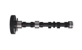 Nockenwelle 4824215