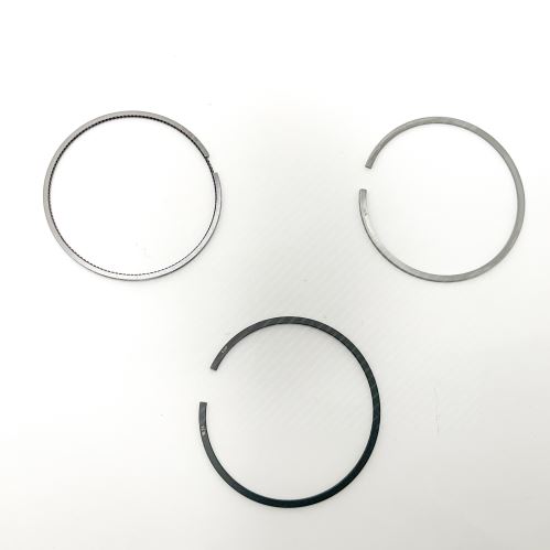 Piston Ring Kit 800112010040