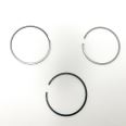 Piston Ring Kit 800112010040
