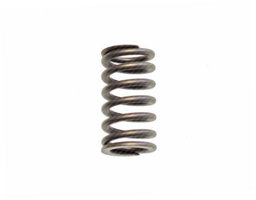 Valve spring