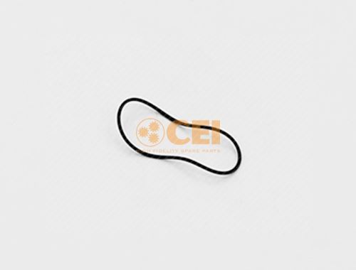 O ring