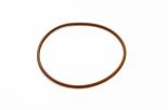 O-Ring 17291381