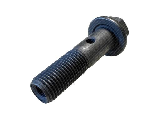 Rocker shaft screw