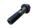 Rocker shaft screw 500354583