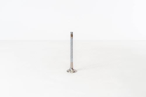 Valve exhaust 7766565