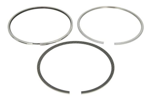 Piston Ring Kit 2992560