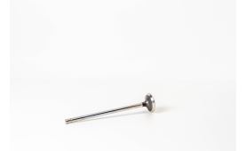 Valve exhaust 504127799 (2)
