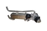 EGR module