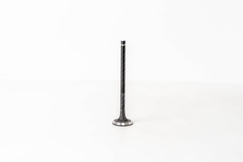 Valve exhaust MD083662