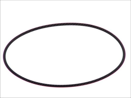 O ring