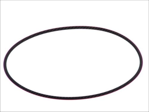 O - ring LE125345