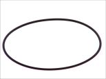 O ring 17292681