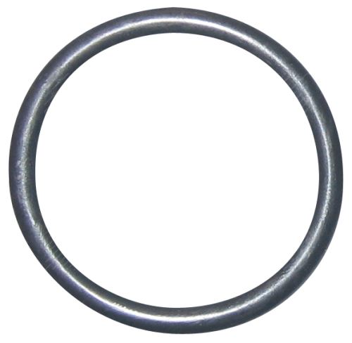 O ring 17277981