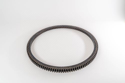 RING GEAR 8819718