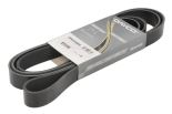 Plochý řemen 47649517, 504380539, 8PK2548HD
