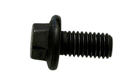 Screw camshaft fixing M8x1.25x16 mm IVECO EuroCargo TECTOR 4899068 (1)