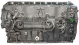 Crankcase 504219039