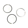 Piston Ring Kit 800055910000 Piston Ring Kit 800055910000