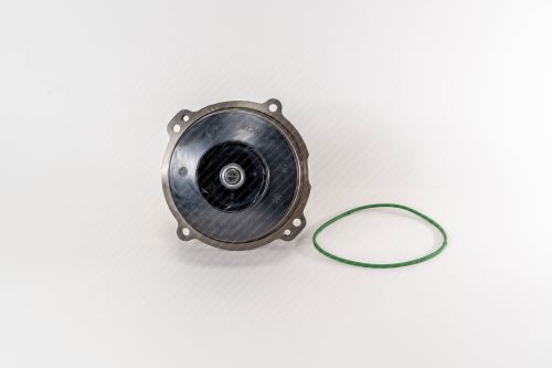 Water pump with gasket