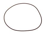 O ring 17301181