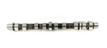 Camshaft 55206425