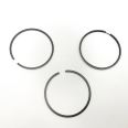 Piston Ring Kit 8093894