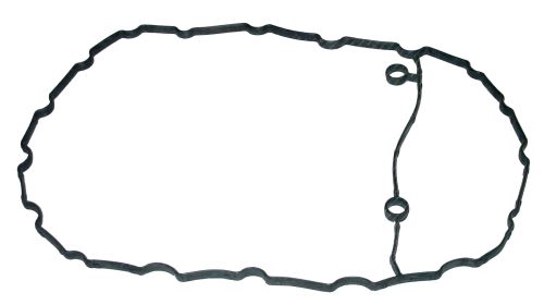 Gasket / Seal 500345207