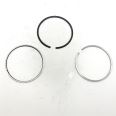 Piston Ring Kit 800109010060