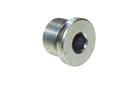 Threaded plug M22 x 1,5 mm IVECO EuroCargo TECTOR 4895080 (1)