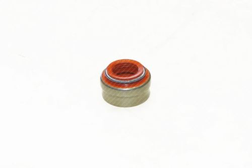 Dichtring, Ventilschaft 70-13150-00 5801663526