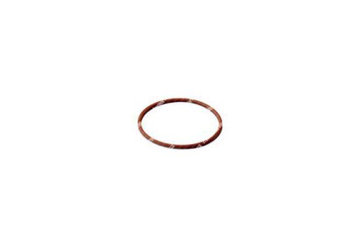 O - ring 17282981