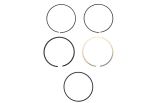 Piston Ring Kit 7994300000 000007994300000 Piston Ring Kit 7994300000 000007994300000