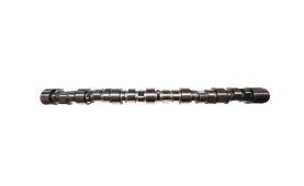 Camshaft (3)